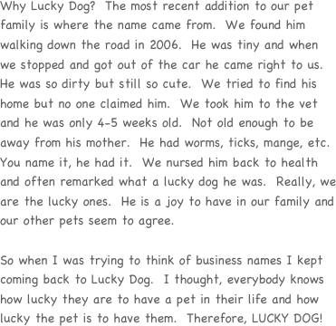 Why Lucky Dog?  The most recent addition to our pet family is where the name came from.  We found him walking down the road in 2006.  He was tiny and when we stopped and got out of the car he came right to us.  He was so dirty but still so cute.  We tried to find his home but no one claimed him.  We took him to the vet and he was only 4-5 weeks old.  Not old enough to be away from his mother.  He had worms, ticks, mange, etc.  You name it, he had it.  We nursed him back to health and often remarked what a lucky dog he was.  Really, we are the lucky ones.  He is a joy to have in our family and our other pets seem to agree.  

So when I was trying to think of business names I kept coming back to Lucky Dog.  I thought, everybody knows how lucky they are to have a pet in their life and how lucky the pet is to have them.  Therefore, LUCKY DOG! 